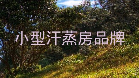 小型汗蒸房品牌