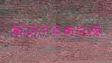 移动汗蒸房品牌