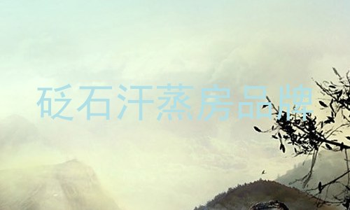 砭石汗蒸房品牌