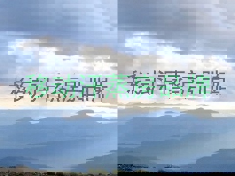 移动汗蒸房品牌