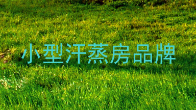小型汗蒸房品牌