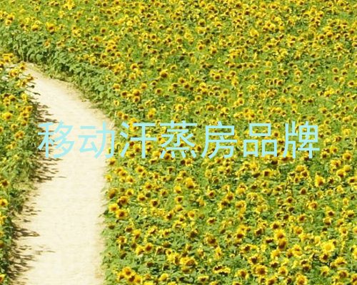 移动汗蒸房品牌