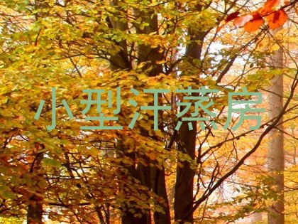 小型汗蒸房