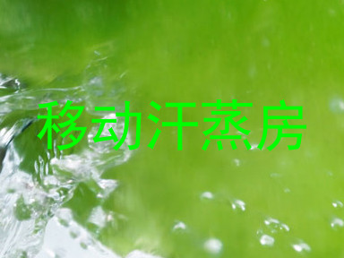 移动汗蒸房