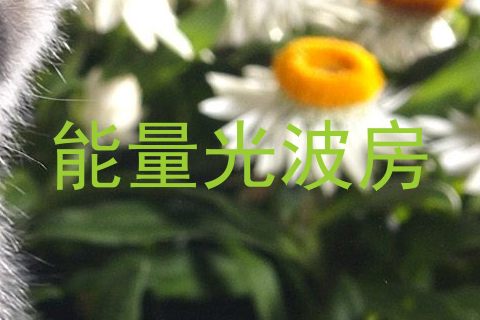 能量光波房