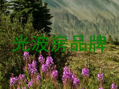 光波房品牌