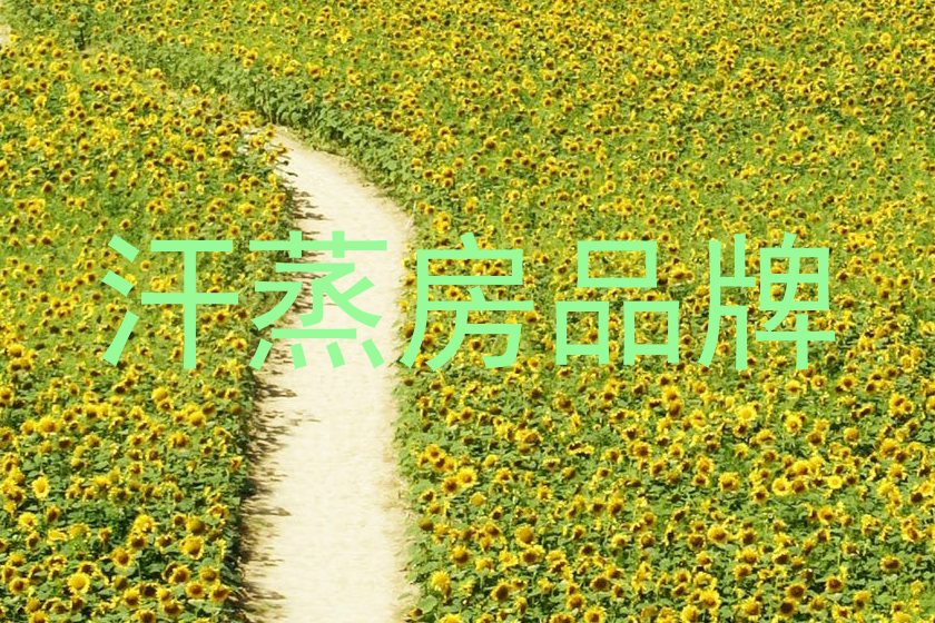 汗蒸房品牌