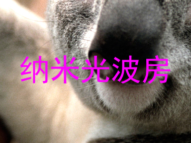纳米光波房