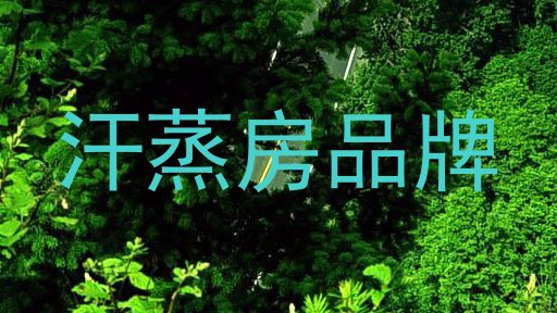汗蒸房品牌