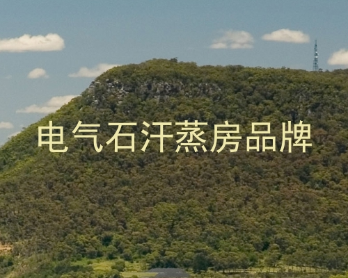 电气石汗蒸房品牌