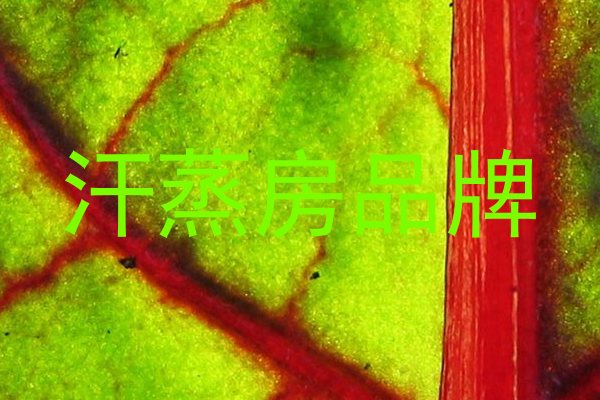 汗蒸房品牌