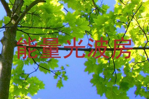 能量光波房
