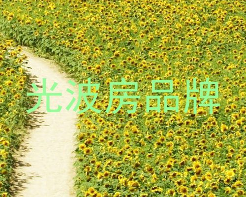 光波房品牌