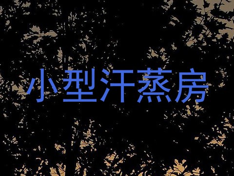 小型汗蒸房