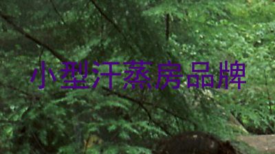 小型汗蒸房品牌