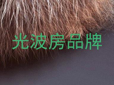 光波房品牌