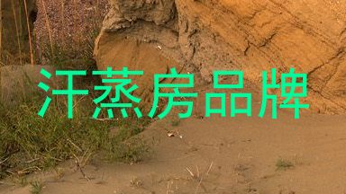 汗蒸房品牌