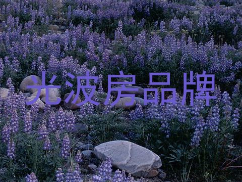 光波房品牌
