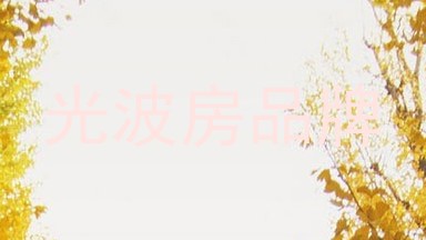 光波房品牌