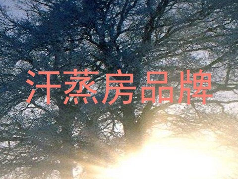汗蒸房品牌