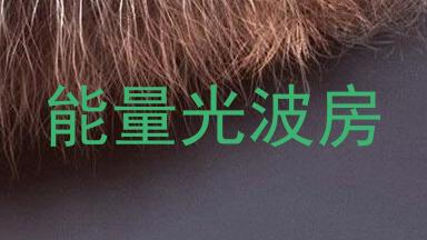 能量光波房