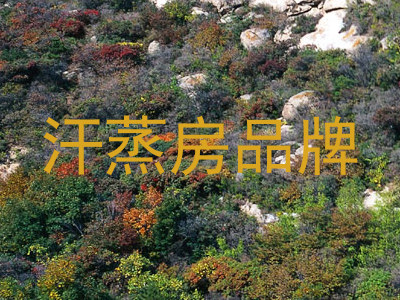 汗蒸房品牌