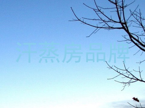 汗蒸房品牌