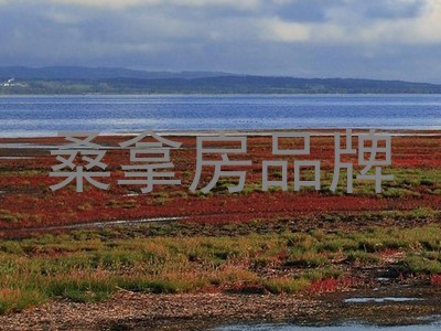 桑拿房品牌