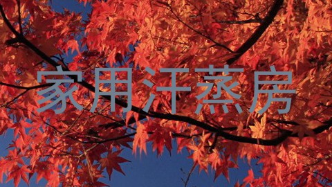 家用汗蒸房