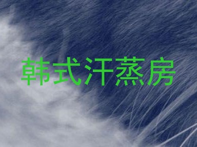 韩式汗蒸房