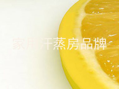 家用汗蒸房品牌