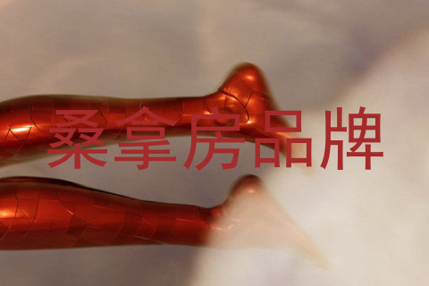 桑拿房品牌