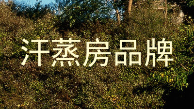 汗蒸房品牌