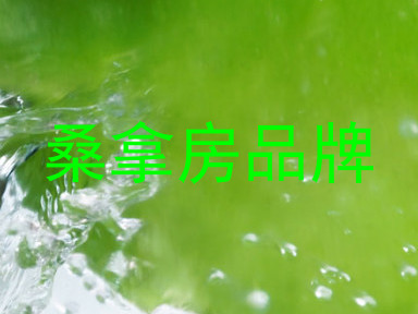桑拿房品牌