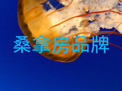 桑拿房品牌