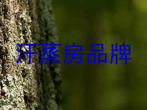 汗蒸房品牌
