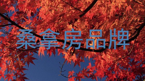 桑拿房品牌