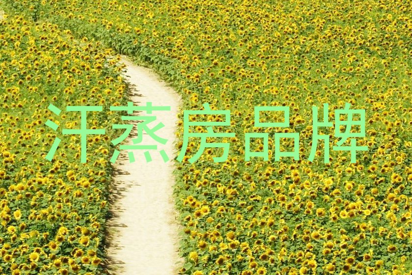 汗蒸房品牌