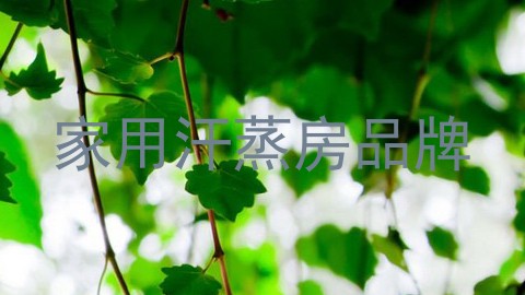 家用汗蒸房品牌