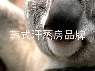 韩式汗蒸房品牌