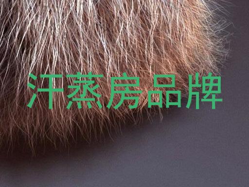 汗蒸房品牌