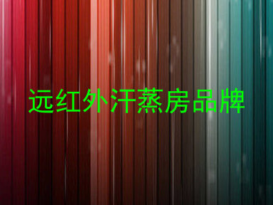 远红外汗蒸房品牌