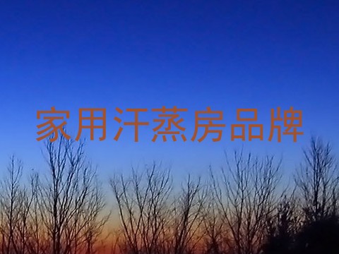 家用汗蒸房品牌