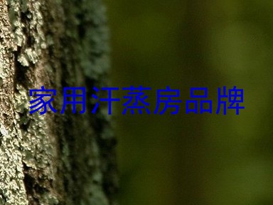 家用汗蒸房品牌