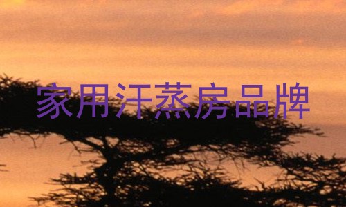 家用汗蒸房品牌