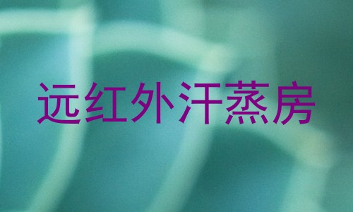 远红外汗蒸房