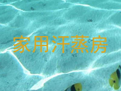 家用汗蒸房
