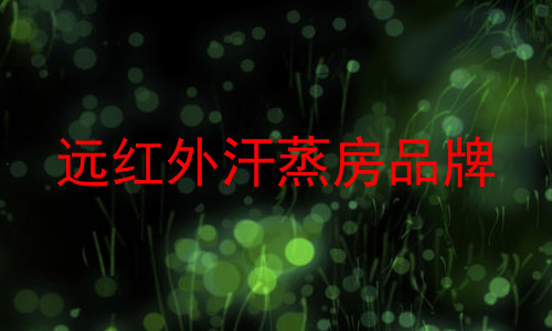 远红外汗蒸房品牌