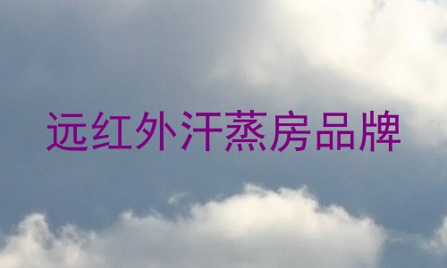 远红外汗蒸房品牌