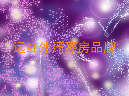 远红外汗蒸房品牌